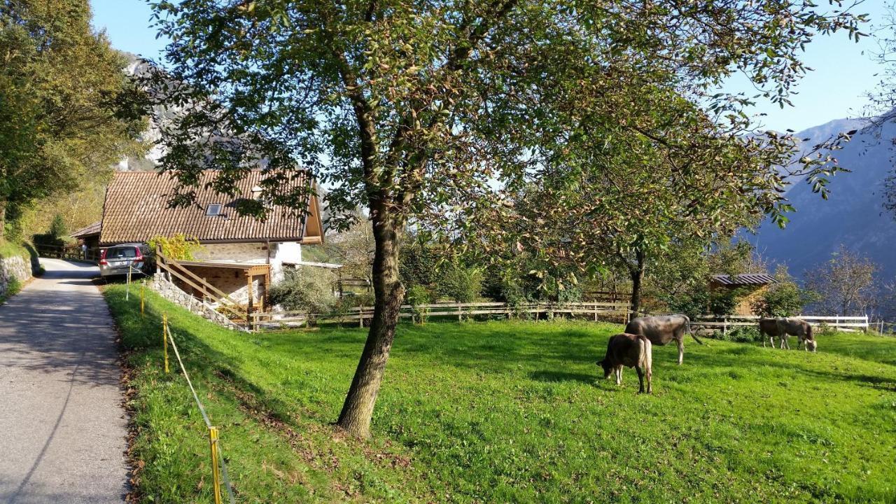 Chalet La Nos 莫利纳迪莱德罗 客房 照片